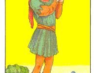 韦特塔罗牌星币侍从(正位/逆位)牌面解析_上官樰