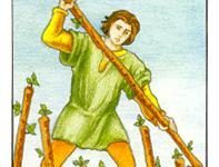 韦特塔罗牌权杖七(正位/逆位)牌面解析_上官樰