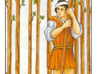 韦特塔罗牌权杖九（正位/逆位）牌面解析_上官樰